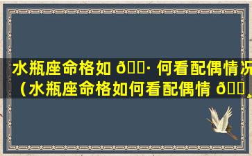 水瓶座命格如 🌷 何看配偶情况（水瓶座命格如何看配偶情 🌸 况好坏）